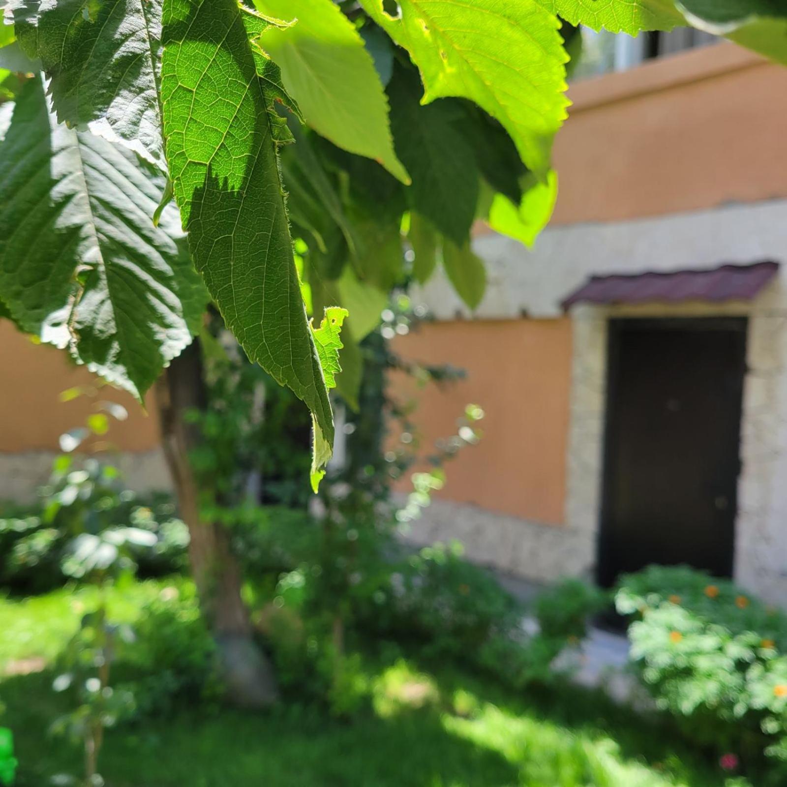River House Boutique Hotel 3*